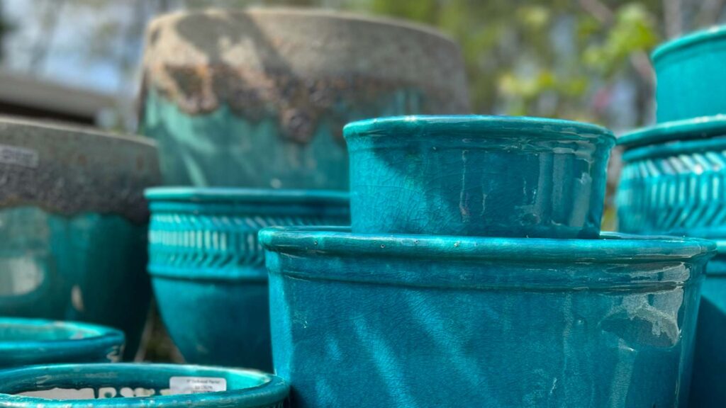Scottsdale Farms Garden Center & Bella Luna Cafe photo 13