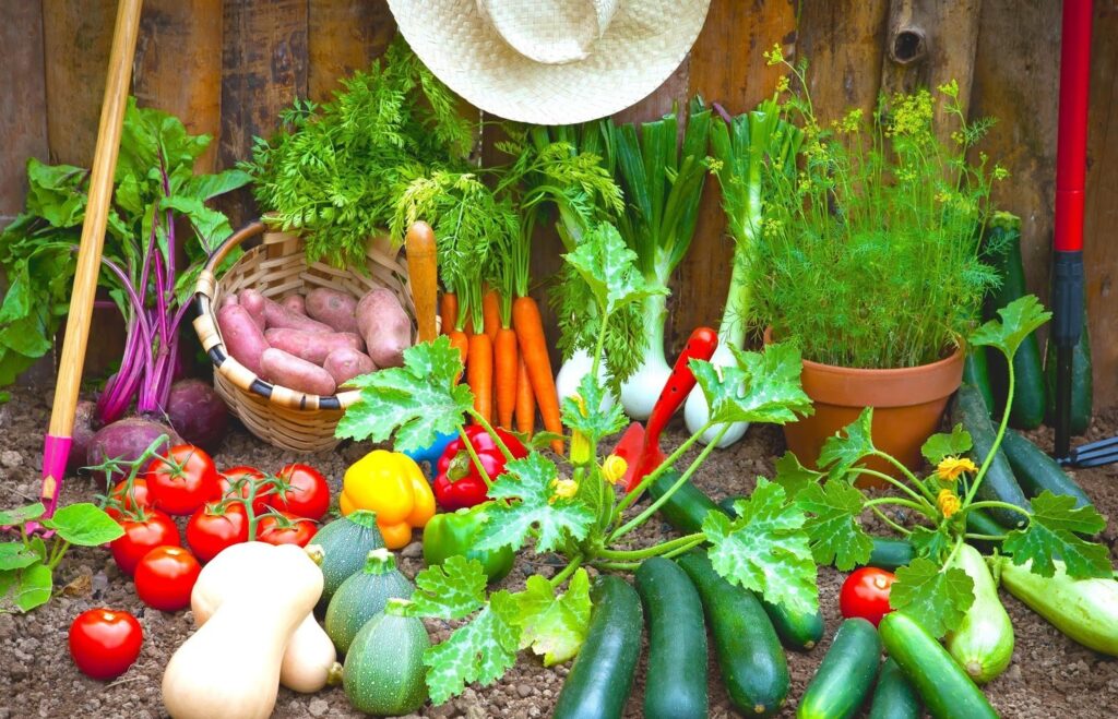 vegetables pic 1