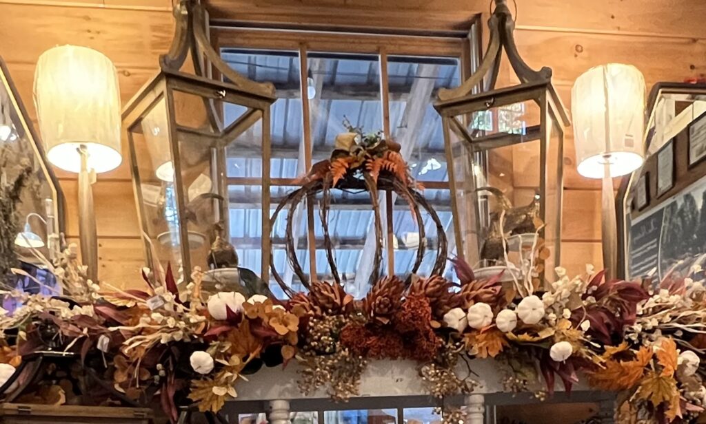 Scottsdale Farms Garden Center & Bella Luna Cafe photo 16