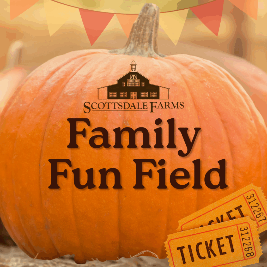 family fun field 1