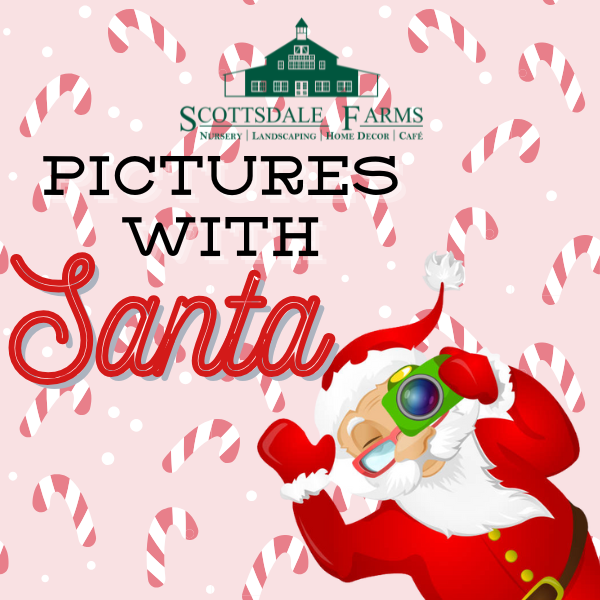 pictures with santa 2025 (2)