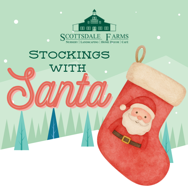 stockings with santa 2025 (5)