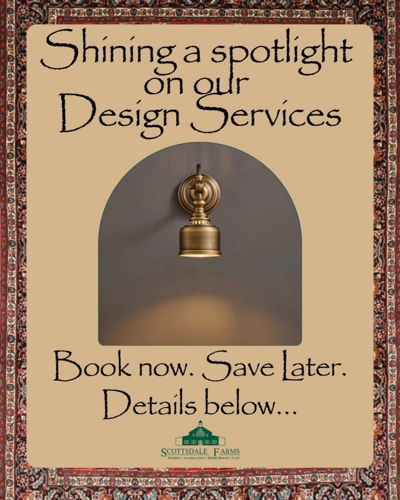 interior design promotion