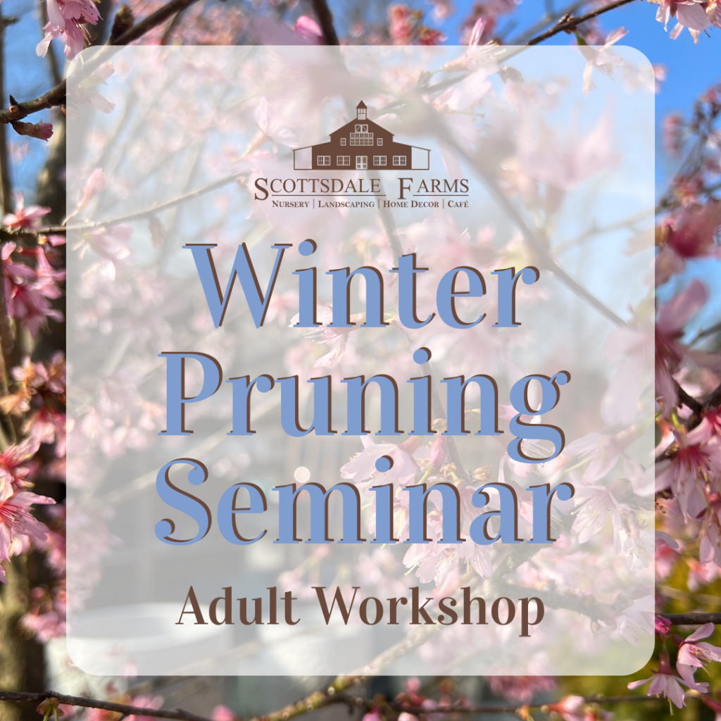 untitled (1080 × 1080 px) (1)