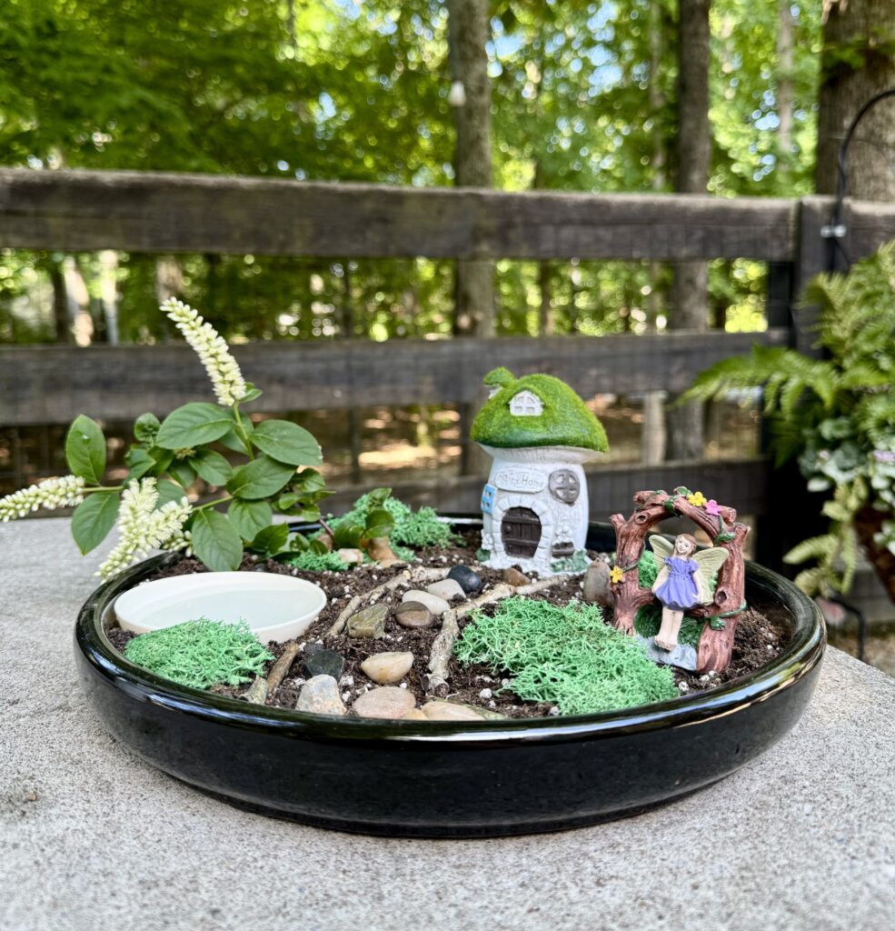fairy garden1