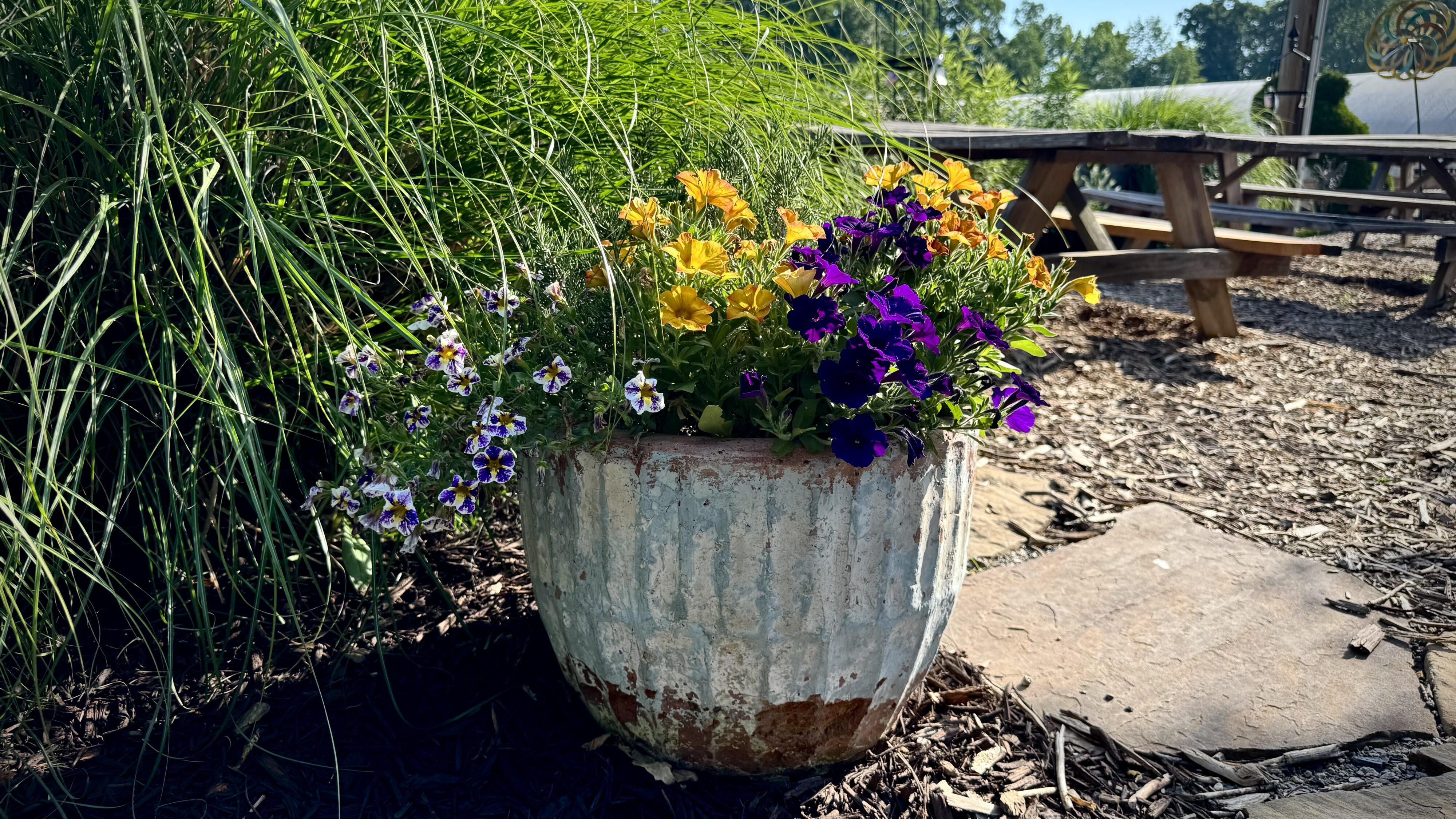 pollinators