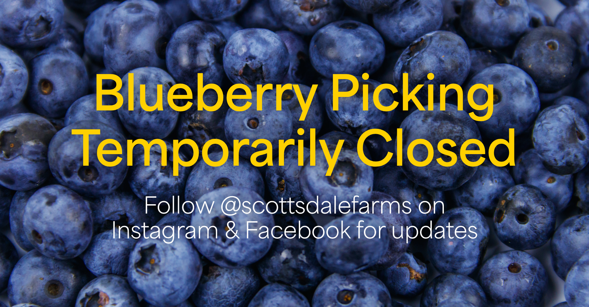 blueberries temp closed website banner (1)