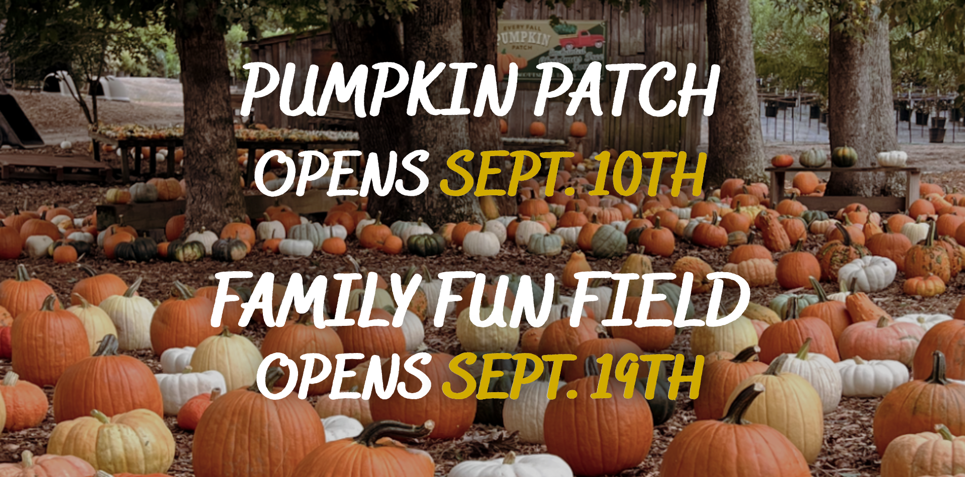 fall website banner